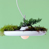Babylon Light - Hanging Garden Light / Planter