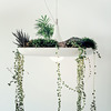 Babylon Light - Hanging Garden Light / Planter