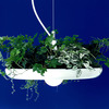 Babylon Light - Hanging Garden Light / Planter