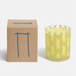 Backrooms Scented Candle - Metallic Hiss, Ash, Humidity, and Sweetness