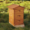 Backyard Beehive Starter Kit