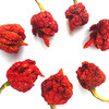 Bag of Dried Scorpion Peppers