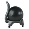 Balance Ball Chair