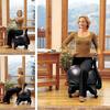 Balance Ball Chair
