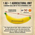 Banana for Scale Ruler - Official Internet Measurement Tool