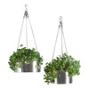 Bari Stainless Steel Hanging Planters