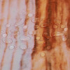Barn Door Shower Curtain