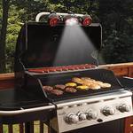 BBQ Grill Light and Fan