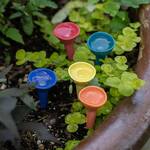 Bee Cups - Thirsty Pollinator Watering Stations w/ a UV-Reactive Glaze