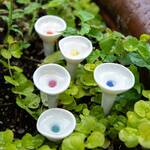 Bee Cups - Thirsty Pollinator Watering Stations w/ a UV-Reactive Glaze