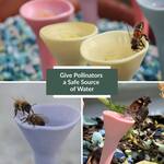 Bee Cups - Thirsty Pollinator Watering Stations w/ a UV-Reactive Glaze