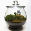 Beetlejuice Terrarium