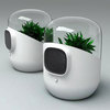 Bel-Air - Plant Powered Living Air Filter