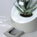 Bel-Air - Plant Powered Living Air Filter
