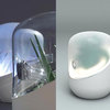 Bel-Air - Plant Powered Living Air Filter