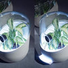Bel-Air - Plant Powered Living Air Filter
