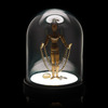 Bell Jar Light