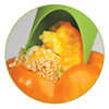 Bell Pepper Corer