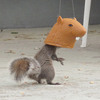 Big Head Squirrel Feeder