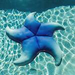 Big Joe Wavy Starfish Pool Float