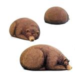 Big Sleeping Grizzly Bear Bean Bag