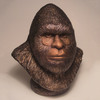 Bigfoot Bust