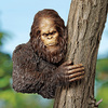 Bigfoot Tree Sculpture