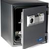 Biometric Access Safe