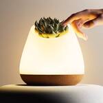 Bioo Lux Planter Lamp - Touch the Leaves to Turn it On/Off
