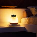 Bioo Lux Planter Lamp - Touch the Leaves to Turn it On/Off
