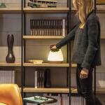 Bioo Lux Planter Lamp - Touch the Leaves to Turn it On/Off