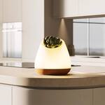 Bioo Lux Planter Lamp - Touch the Leaves to Turn it On/Off