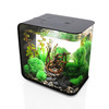 Biorb Flow Aquarium