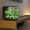 Biorb Flow Aquarium