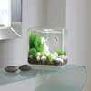 Biorb Flow Aquarium