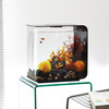Biorb Flow Aquarium