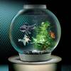 BiOrb Self-Filtering Aquarium