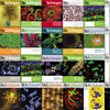 FREE - BioTechniques Journal