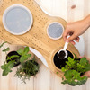 BioVessel - Sculptural and Odorless Composter Powered By Earthworms