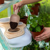 BioVessel - Sculptural and Odorless Composter Powered By Earthworms