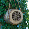 Birch Bee Log