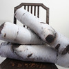 Birch Tree Log Pillows