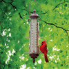 Bird Feeder Thermometer