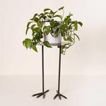 Bird Legs Plant Stand