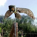 Bird-X Prowler Owl - Lifelike Owl Decoy With Moving Wings