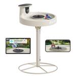 Birdfy Solar-Powered Smart Bird Bath Fountain, Camera, and Stand