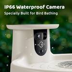 Birdfy Solar-Powered Smart Bird Bath Fountain, Camera, and Stand
