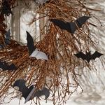 Black Bats and Grapevine Twigs Halloween Wreath