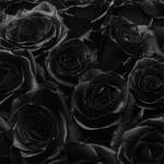Black Roses Bouquet