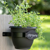 Bloem Herb Trio - Vertical Three Tier Wall Planter